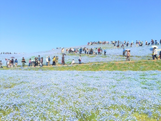 【豪華　地魚と常陸牛よくばりグレードアッププラン２食付】常陸牛陶板焼・あわびソテー・はまぐり焼・近海